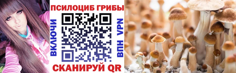 Галлюциногенные грибы GOLDEN TEACHER  что такое   Новая Усмань 